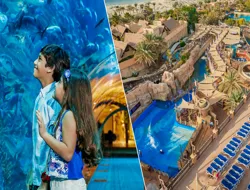 Combo (Save 36%): Dubai Aquarium & Underwater Zoo + Wild Wadi Park Tickets